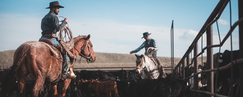 Back from the Field. Research on Conservatism in rural Wyoming